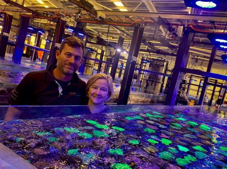 ultra_coral_nic_and_ivy_dos_santons