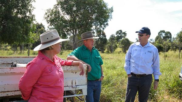 Two gentleman and a lady standing in a paddock near a fence chatting