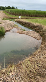 The Di Mauro's disaster damage