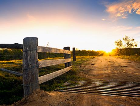 Drought Concessional Loan Image - Gate field