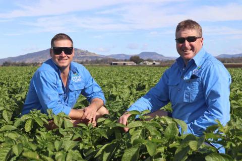 CJZ Farms' shovel-ready project will help keep up with consumer demand for fresh products. 