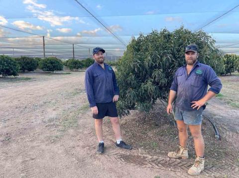 Sam and Charles Nastasi 